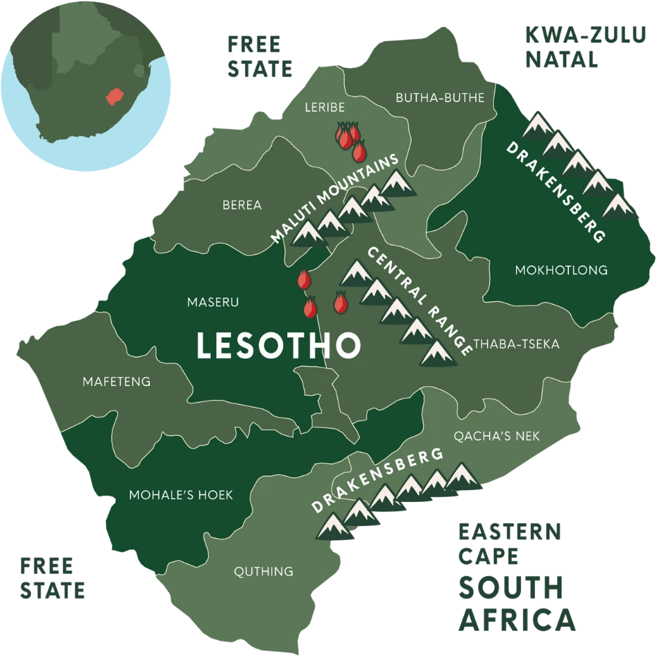Lesotho rosehip communities and harvesting regions map