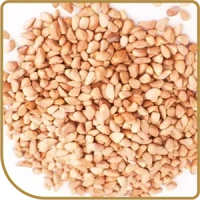 Rosehip seeds sourced from wild rosehip in Lesotho